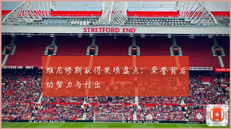 维尼修斯获得奖项盘点:荣誉背后的努力与付出