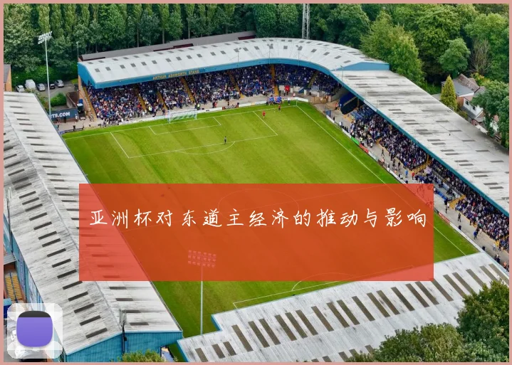 亚洲杯对东道主经济的推动与影响