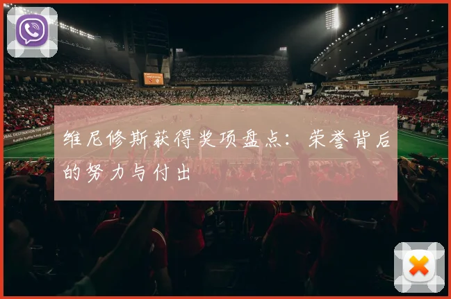 维尼修斯获得奖项盘点：荣誉背后的努力与付出